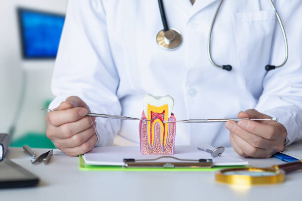 Best Walk-In Emergency Dentist in Cochranton, PA